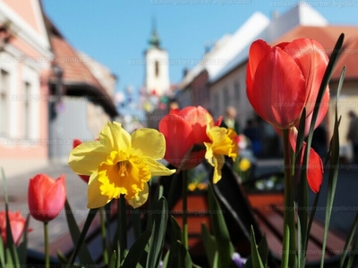 Szentendre, Belváros