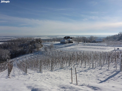 Eladó zártkerti ingatlan lenyűgöző panorámával - Zalaszabar, Zala - Szőlőskert-pince