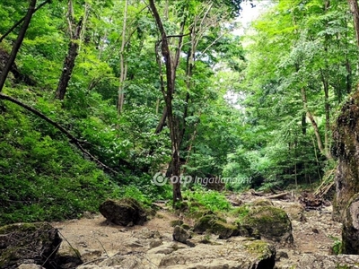 Bakonyszentlászló, ingatlan, mezőgazd. ingatlan, 4 m2, 130.000.000 Ft