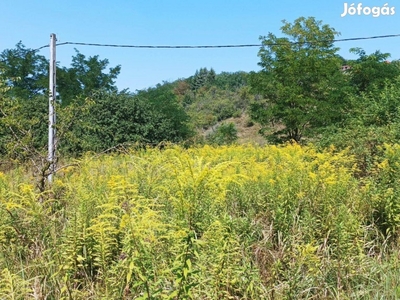 Eladó egy külterületi panorámás telek gazdálkodásra