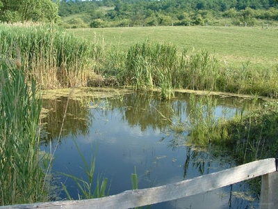 Felsőtárkány, ingatlan, telek, 15.000.000 Ft