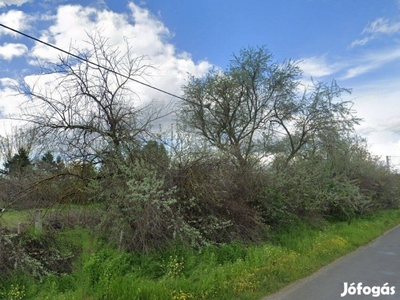 Kecskeméttől kb.8 km, Helvécia, Korhánközi dűlőn, 3016m2 telek eladó