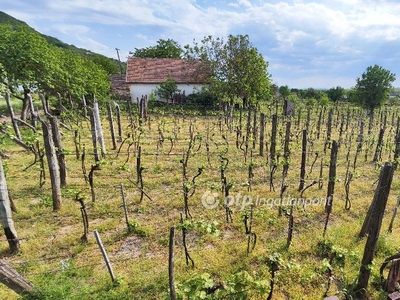 Somlószőlős, ingatlan, mezőgazd. ingatlan, 1294 m2, 15.000.000 Ft