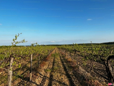 Eladó általános mezőgazdasági ingatlan - Zánka, Veszprém megye