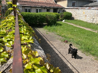 Eladó családi ház - Balatonfüred, Kósa Pál utca