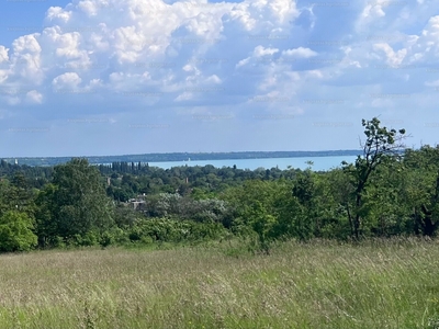 Eladó külterületi telek - Balatonkenese, Öreghegy