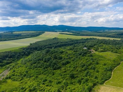 Eladó külterületi telek - Harsány, Borsod-Abaúj-Zemplén megye