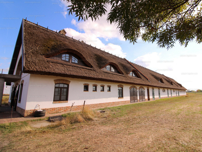 Eladó lakóövezeti telek - Abony, Pest megye