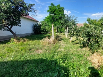 Eladó lakóövezeti telek - Algyő, Csongrád-Csanád megye
