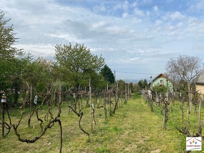 Eladó üdülőövezeti telek - Páty, Pest megye