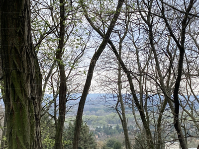 Eladó üdülőövezeti telek - Szentendre, Petyina