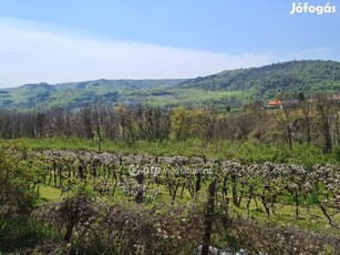 Eladó Telek, Lesencefalu