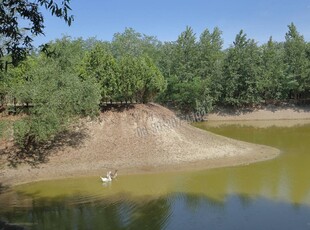 Ópusztaszer, ingatlan, ház, 100 m2, 59.000.000 Ft