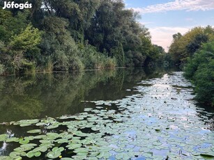 Szarvas, Szappanoszug Körös vízparti telek eladó