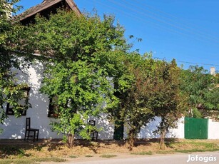 Nádfedeles parasztház , nyaraló ,