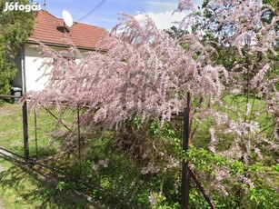 Nagy telek, nagy lehetőség..!