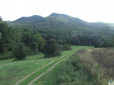 Eladó termőföld, szántó - Zalaszántó