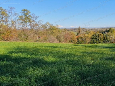 Nyúl, ingatlan, mezőgazd. ingatlan, 5579 m2, 13.947.500 Ft