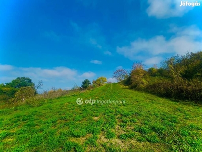 Kocsi eladó 705 nm-es telek - Kocs, Komárom-Esztergom - Telek, föld