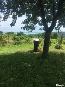 Balatonalmádi Vöröshegyen a Magyar utcában zártkerti telek - Balatonalmádi, Veszprém - Telek, föld