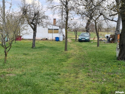 Bodaszőlőn nagy telekkel - Bodaszőlő, Hajdúböszörmény, Hajdú-Bihar - Ház