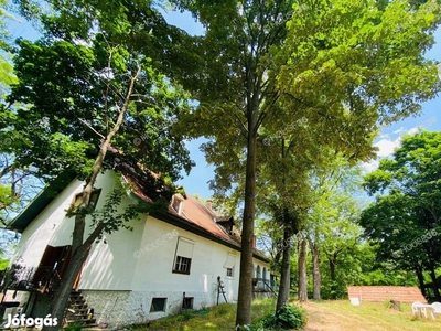 Csodálatos lehetőség Szentkirályon! Birtok eladó! - Szentkirály, Bács-Kiskun - Tanya