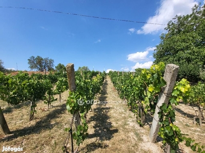 Eladó Mezőgazdasági, Balatonszabadi - Balatonszabadi, Somogy - Termőföld