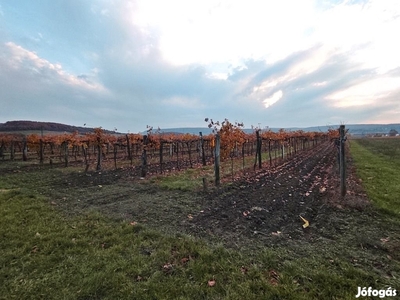 Eladó Mezőgazdasági, Szentjakabfa 16.500.000 Ft