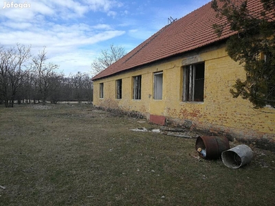 Eladó Nagykőrös külterületén egy 241.269 nm-es kivett terület - Lajosmizse, Bács-Kiskun - Telek, föld