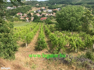 Eladó panorámás építési telek - Szekszárd, Tolna - Telek, föld