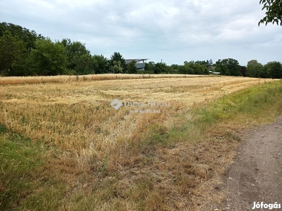 Eladó Telek, Gárdony - Gárdony, Fejér - Telek, föld