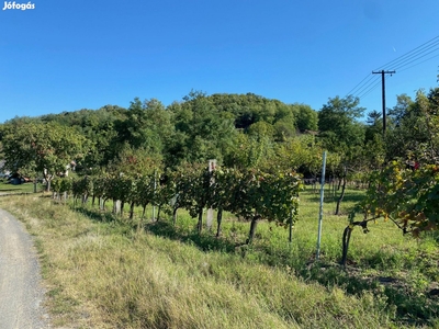 Eladó Telek, Nemesgulács 29.900.000 Ft - Kisapáti, Nemesgulács, Veszprém - Telek, föld