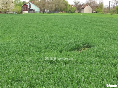 Eladó Telek, Orosháza - Orosháza, Békés - Telek, föld