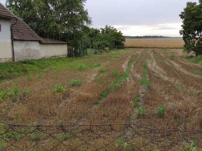 Eladó telek Paks vonzáskörzetében - Sárszentlőrinc, Tolna - Telek, föld