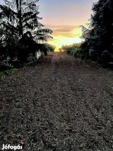 Naszály, építési telek eladó - Naszály, Komárom-Esztergom - Telek, föld