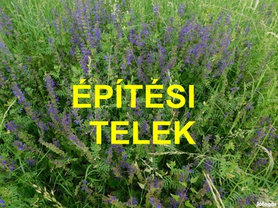 Nemesbükön építési telek eladó. - Nemesbük, Zala - Telek, föld