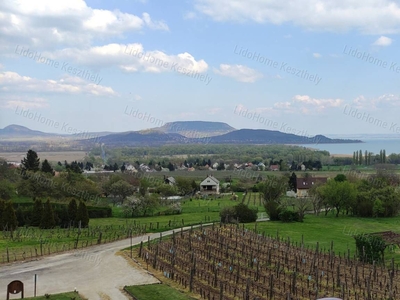 Örök panorámás vendéglátóipari egység Balatonedericsen - Balatonederics, Veszprém - Iroda, üzlethelyiség, ipari ingatlan