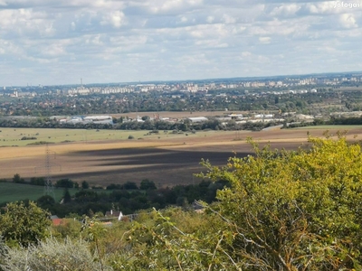 Panorámás telken, zártkerti szőlős borospincével eladó - Iszkaszentgyörgy, Fejér - Telek, föld