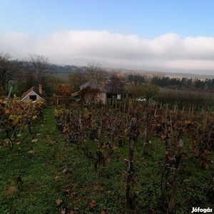 Szőlő, gyümölcsös - Alsóújlak, Vas - Szőlőskert-pince