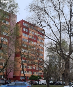 Tulajdonostól szigetelt azonnal költözhető panorámás lakás eladó - XIV. kerület, Budapest - Lakás