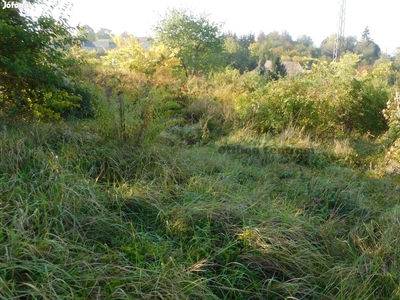 Vác lakóövezeti telek - Vác, Pest - Telek, föld