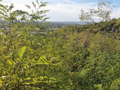 Zártkerti telek Esztergomban - Esztergom, Komárom-Esztergom - Egyéb