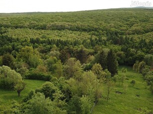 Miskolctapolcai panorámás telek eladó - 3443m2