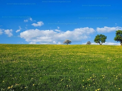 Eladó lakóövezeti telek - Debrecen, Haláp