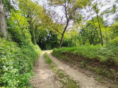 Felsőegerszegi patak partján eladó telek