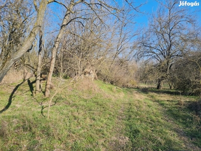 Eladó telek Kecskemét, Talfája - Kecskemét, Bács-Kiskun - Telek, föld