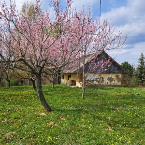 Galambok, ingatlan, nyaraló, 40 m2, 6.900.000 Ft