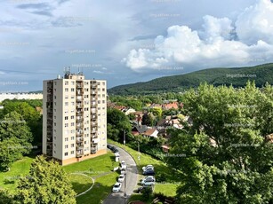 Miskolc, Hegyalja út