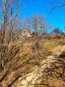 Eladó hétvégi házas nyaraló - Balatonszőlős, Veszprém megye