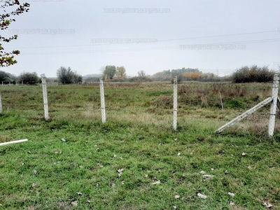 Eladó termőföld, szántó - Vecsés, Kispatak-lakópark